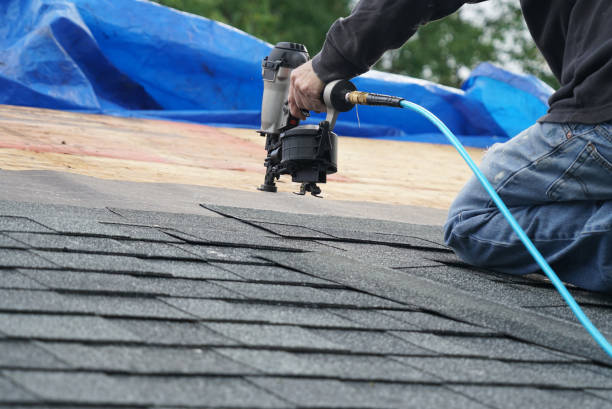 Best Roofing Contractor Near Me  in Lees Summit, MO